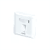 COTE CFP-2101 Single Port Faceplate